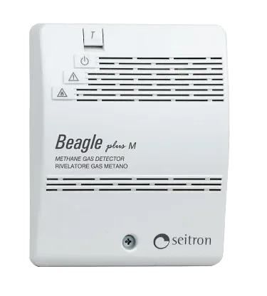 Beagle
